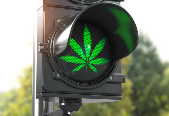 A Positive Outlook on the Legalization of Cannabis